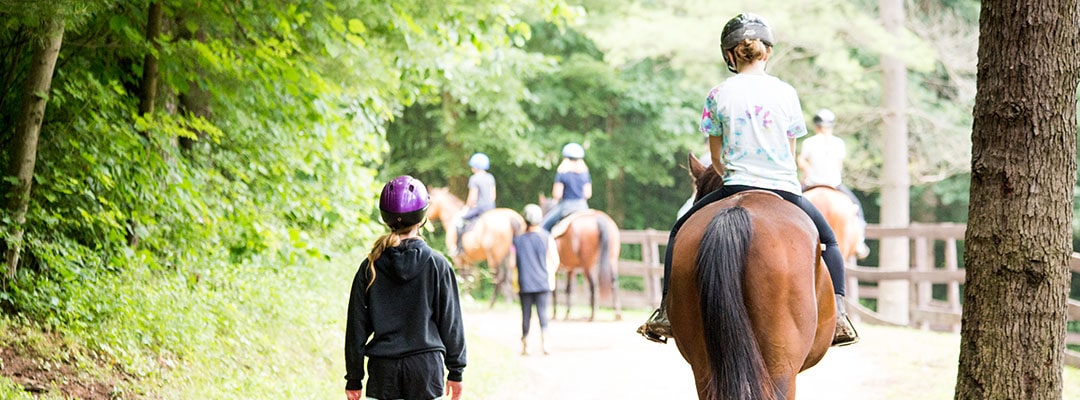 Horses at summer camp