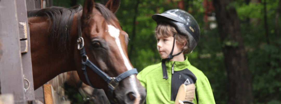 Boy with horse