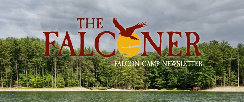 Falcon Camp newsletter header